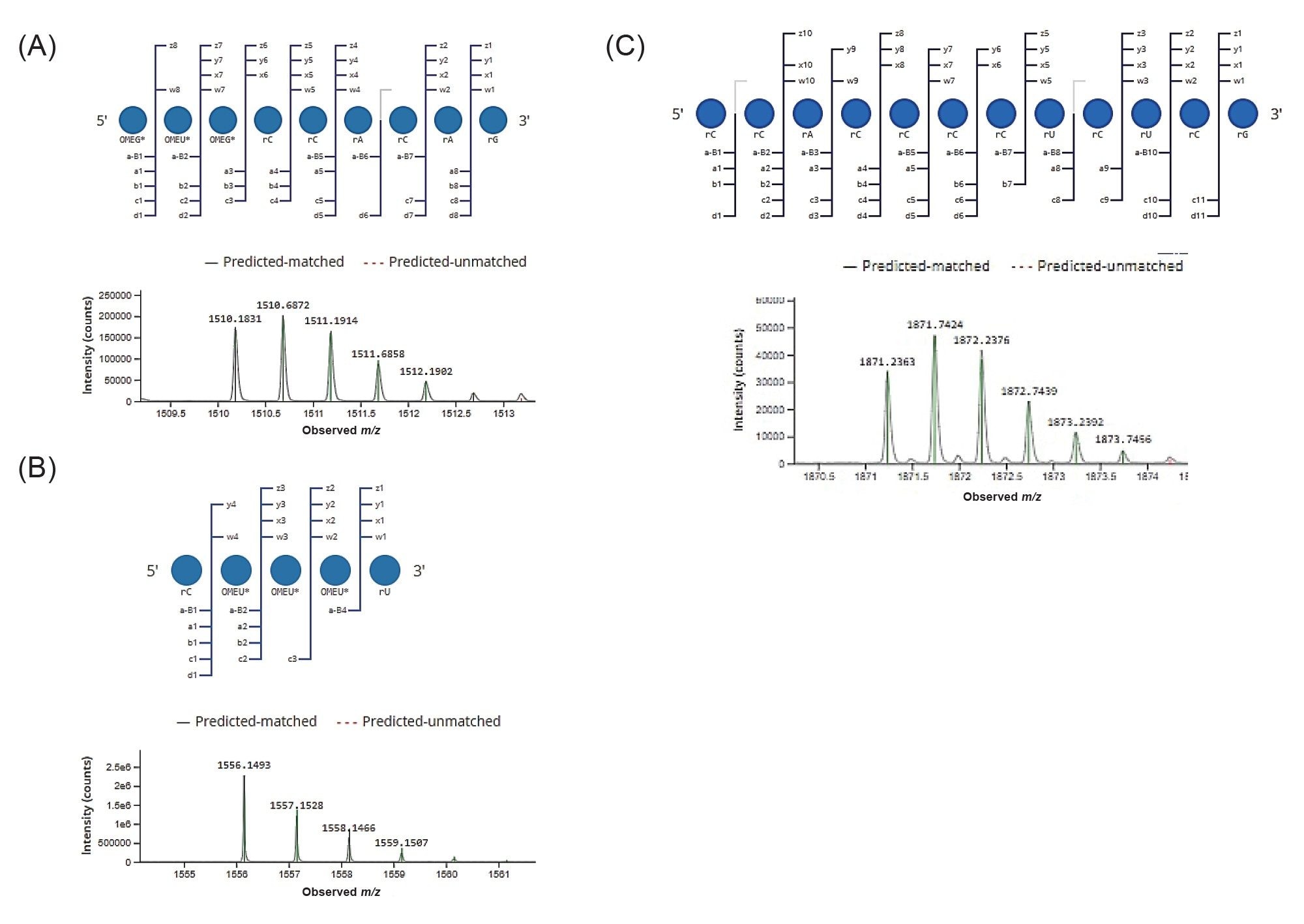 Example annotation of MS data for 5’ and 3’-end oligonucleotides. Dotmap representation of matched MSE fragments and low energy mass spectrum with isotope matching (highlighted in green) are shown