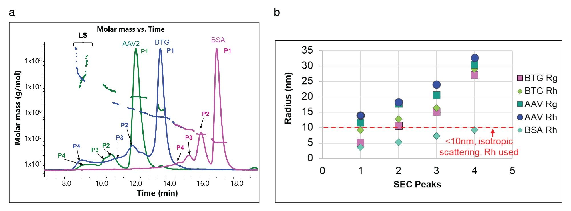 SEC chromatograms and molar mass vs time data for BSA