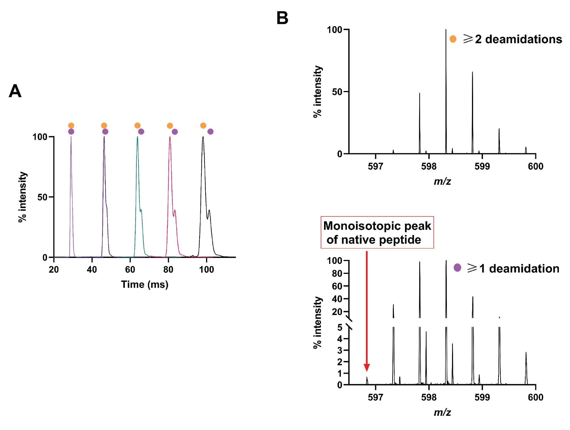 Analysis of peptide GIIQPQQPAQL and deamidated products