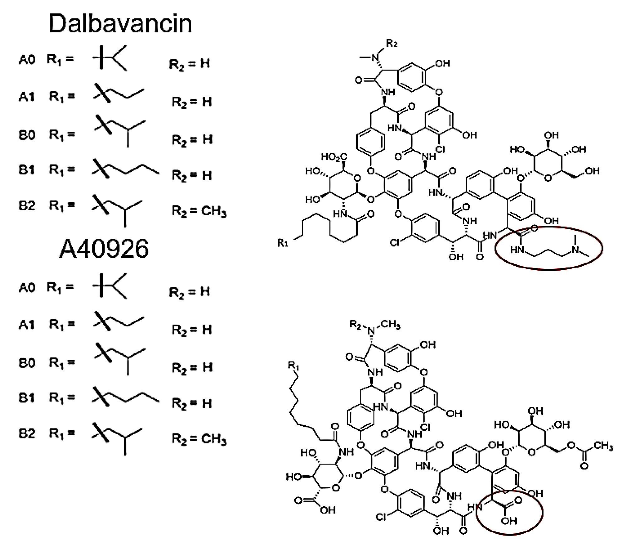 Structure of dalbavancin and A40926 with the differences of the structure circled