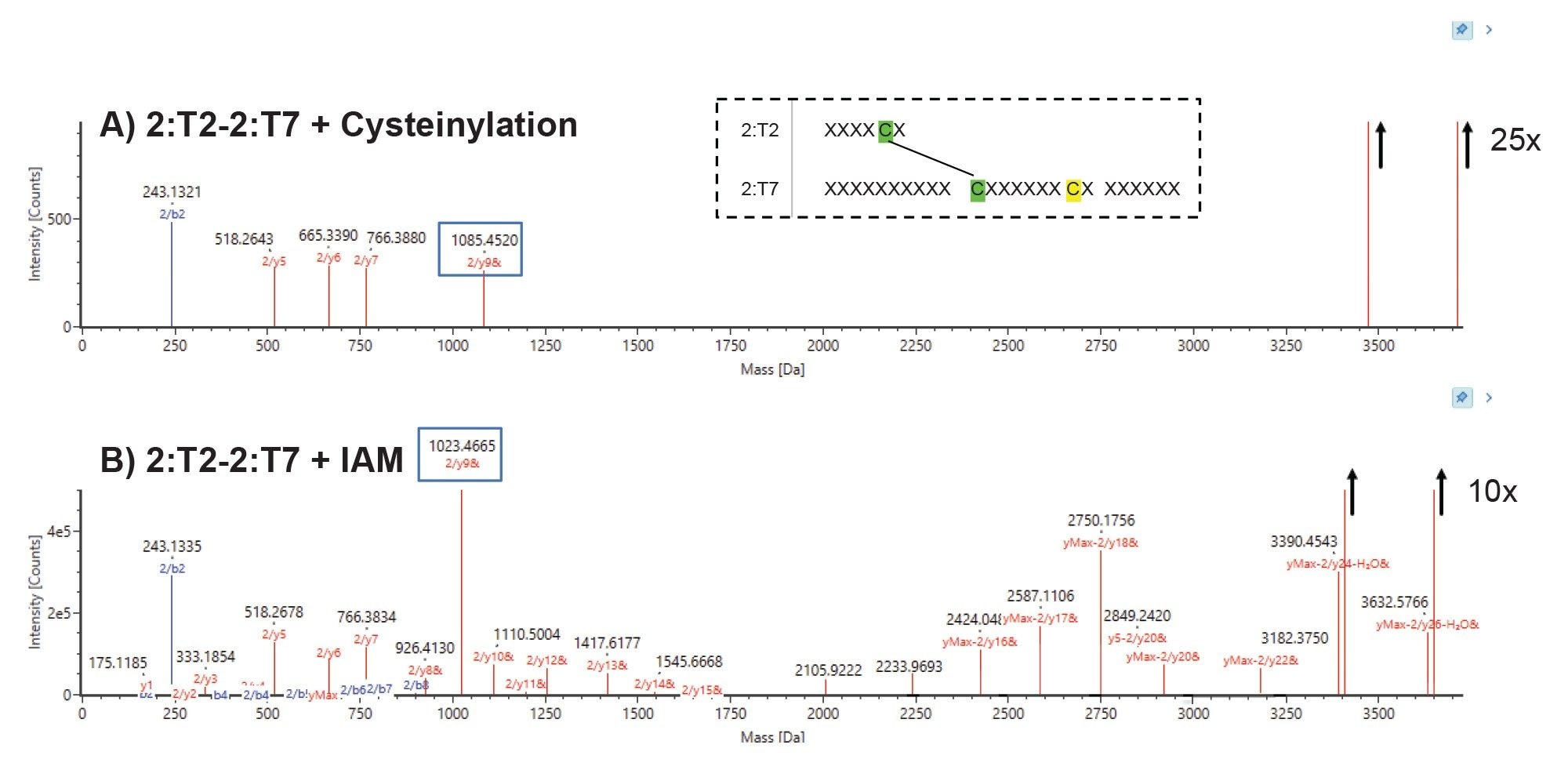 Fragmentation map of matched fragments from the disulfide linked peptides (2:T2–2:T7) containing the expected unpaired cysteine (highlighted in yellow)