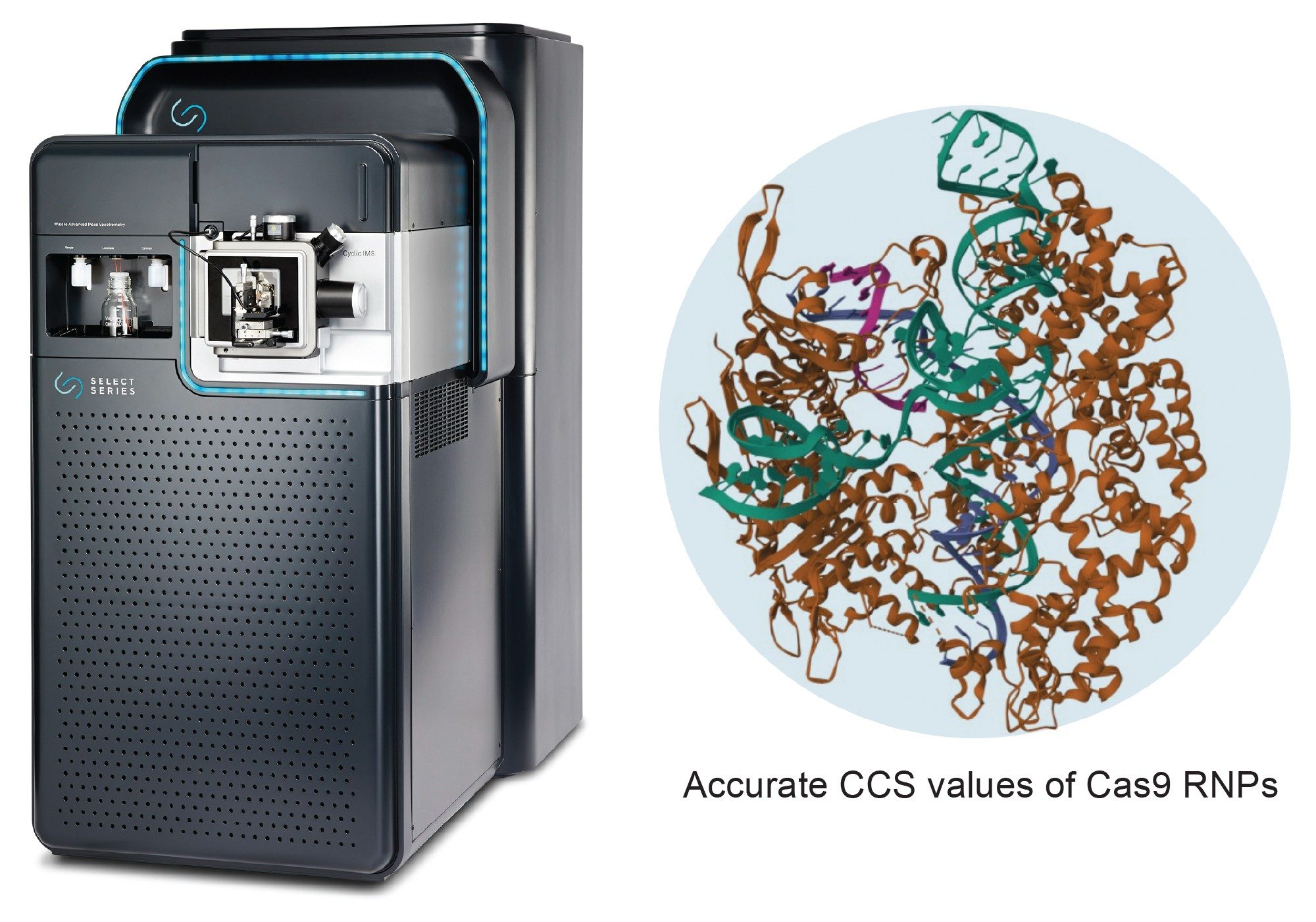 The SELECT SERIES Cyclic IMS mass spectrometer (left) a state-of-the-art solution for native MS. Right – cartoon representation of the crystal structure of Cas9 protein (orange) bound to sgRNA (green) and target DNA (magenta, blue) from PDB entry 4UN3.6 Structure generated using Mol*.7