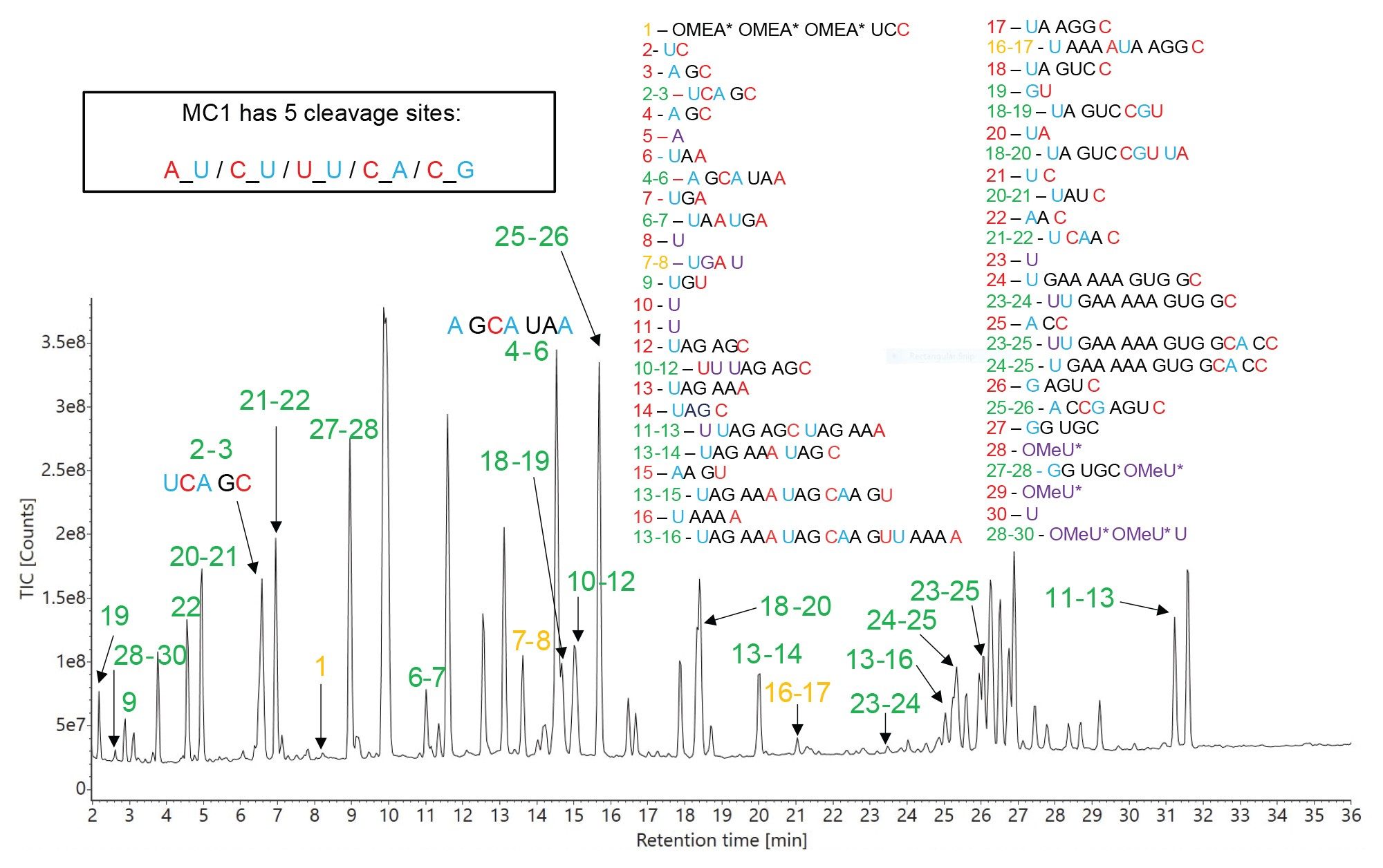 TIC chromatogram recorded for RapiZyme MC1 digestion of HPRT1 sgRNA