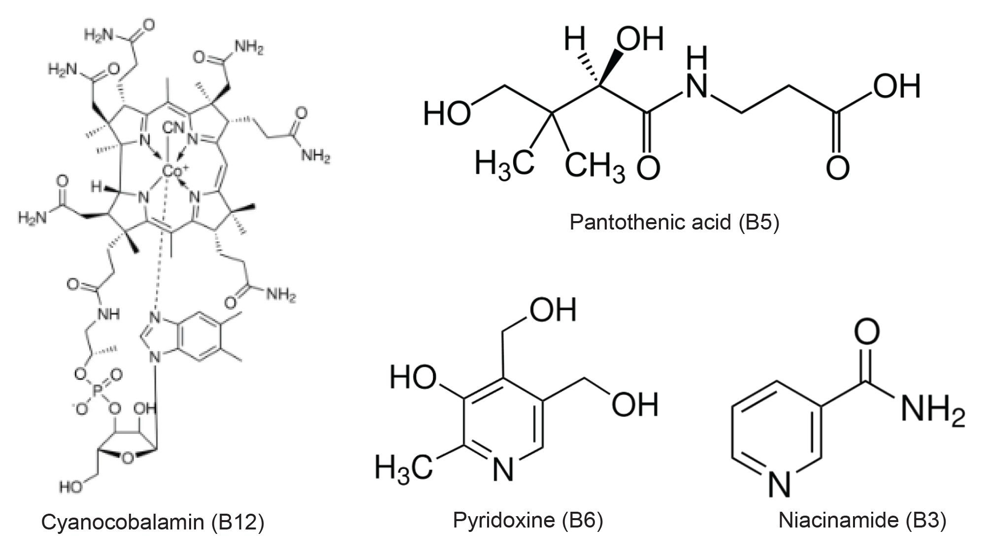 Chemical structures of the vitamins identified in vitamin beverage