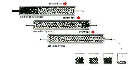Molecules of various sizes elute from the column at different rates. The column retains low molecular weight material (small black dots) longer than the high molecular weight material (large black dots). The time it takes for a specific fraction to elute is called its "retention time".