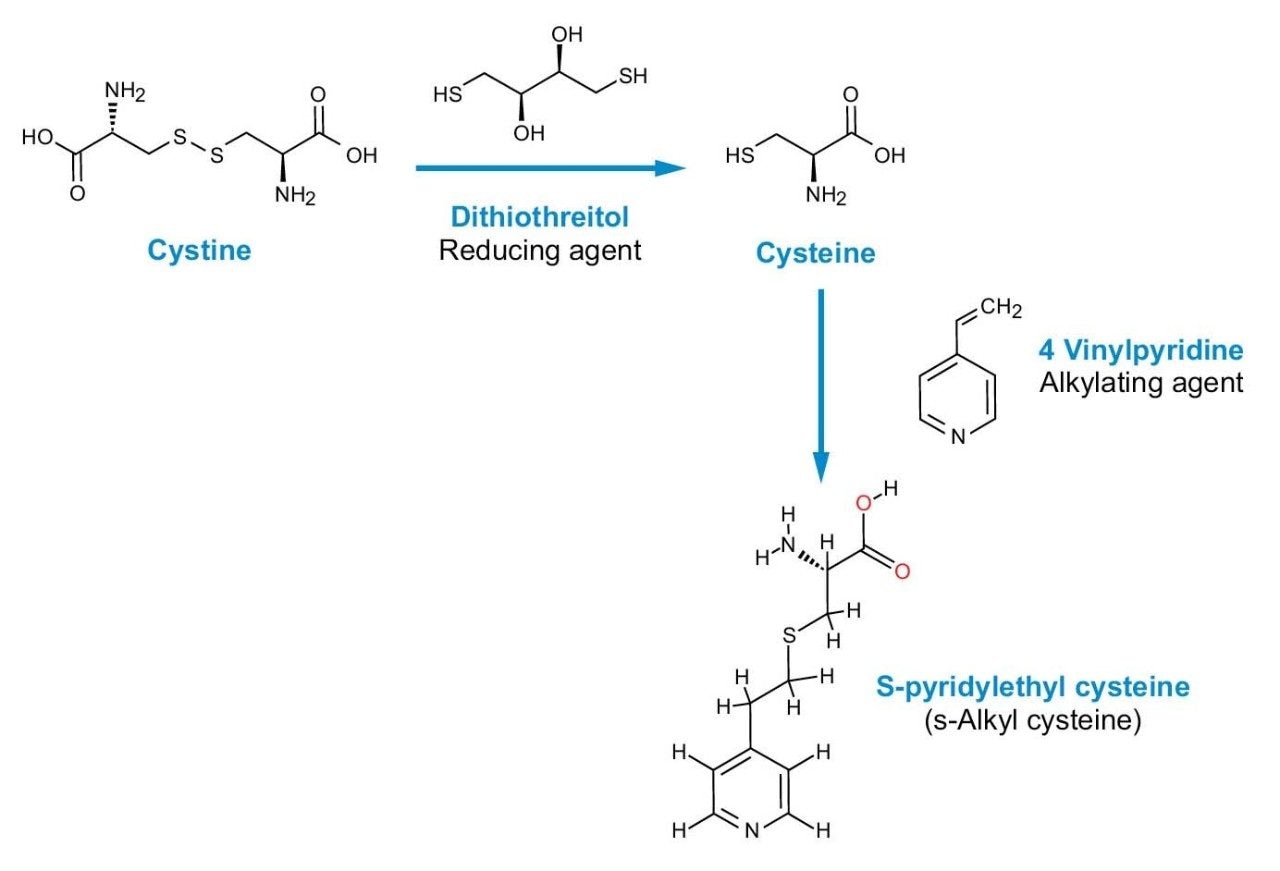 Figure 5. Alkylation of cystine and cysteine.