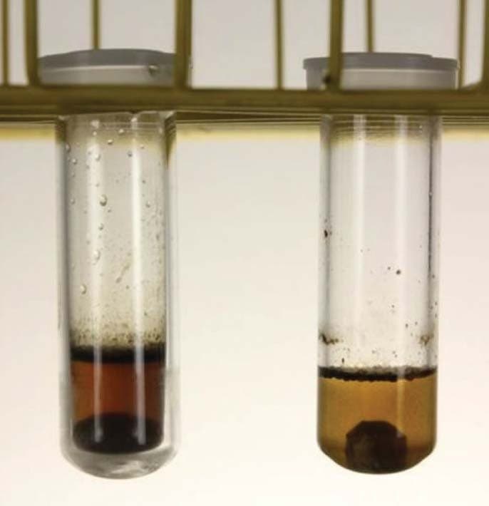 Figure 9. A hydrolyzed sample.