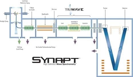 SYNAPT/TRIWAVE Workflow