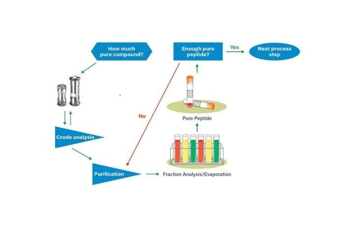 Figure 1. Peptide Isolation Workflow.