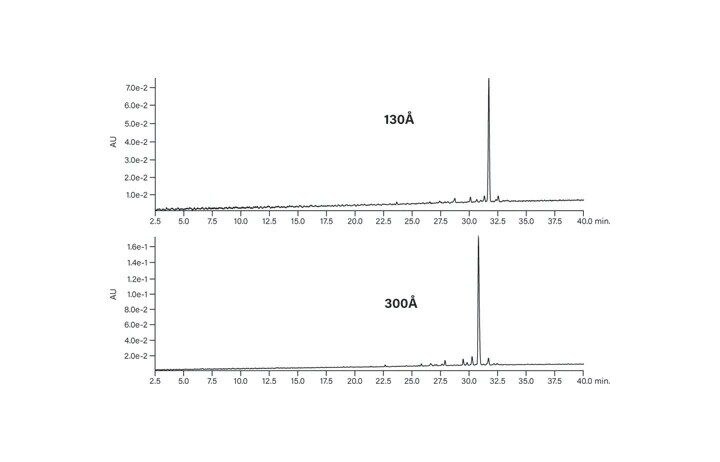 Figure 10. Effect of pore size on the chromatography of the hydrophobic peptide.