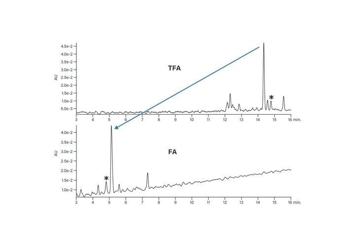 Figure 17. Effect of modifier on the basic peptide.