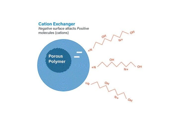 Figure 4. Attraction of peptide to cation exchange column packing.