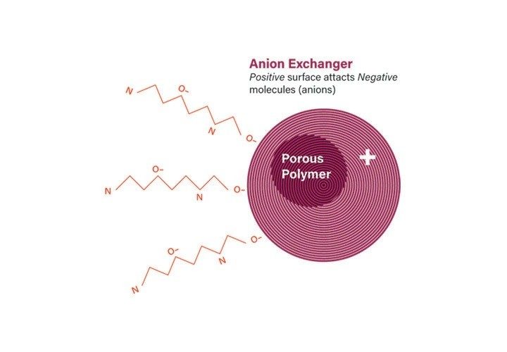 Figure 5. Attraction of peptide to anion exchange column packing.