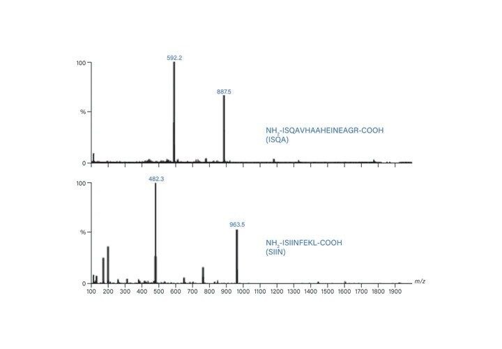Figure 53. Mass spectra for ISQA and SIIN.