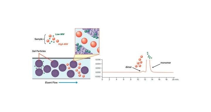Figure 6. Size-exclusion chromatogry sample elution.