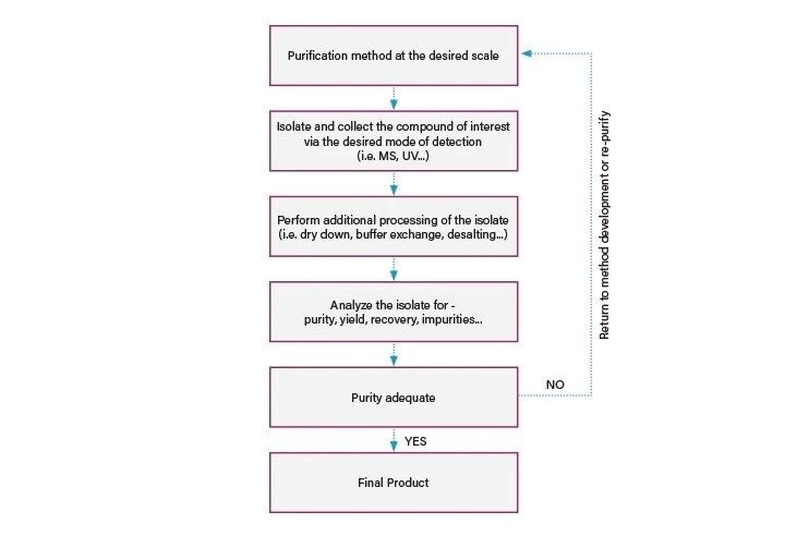 Workflow for isolation of the purified product.