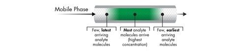 Figure 5: Concentration profile of green analyte molecules within the analyte band.