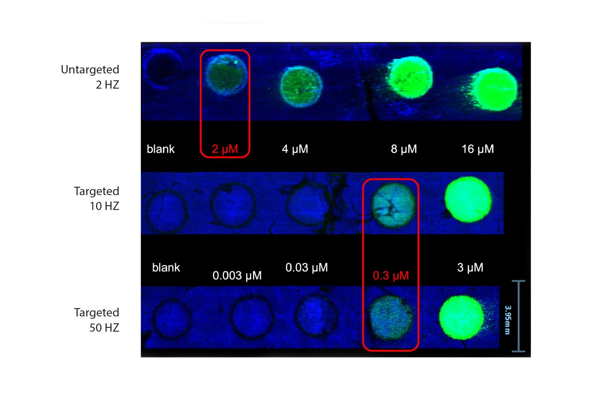 DESI XS targeted and HRMS discovery MS Imaging experiment showing Red green blue images of lipid and chloroquine dilution series acquired at 2, 10, and 50 Hz acquisition speeds respectively. 2 µM vs 0.3 µM detection limits are shown for discovery vs targeted respectively. 