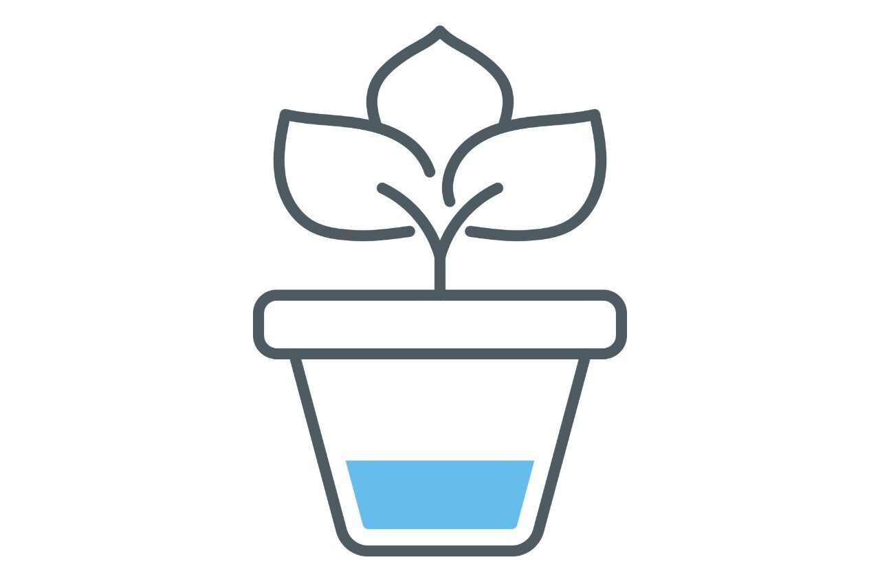 Line drawing of a plant growing out of a pot