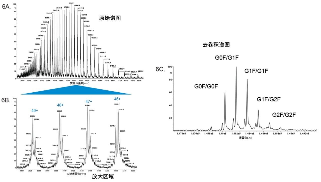 使用含有0.1% TFA的流动相获得的完整蛋白质谱图