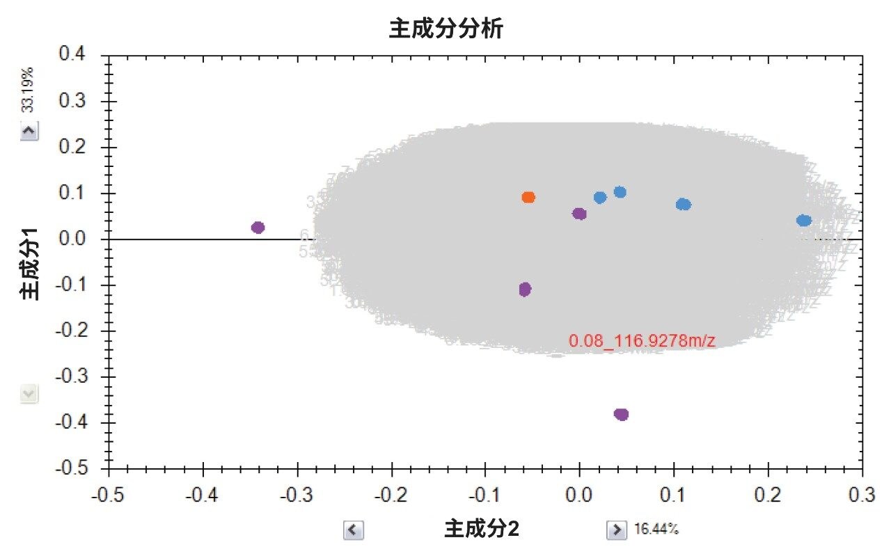 本研究的PCA得分图。