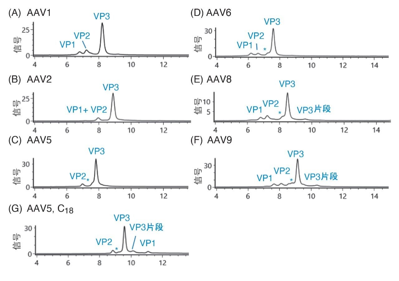 6种AAV血清型的分离结果