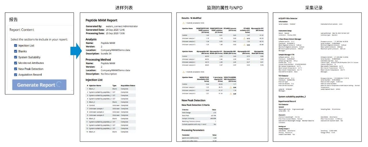 可选的报告模板章节