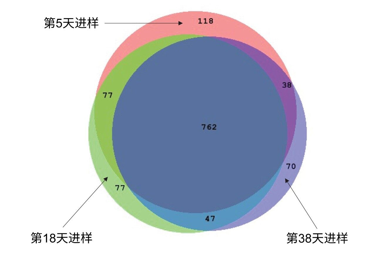  大肠杆菌蛋白质鉴定结果