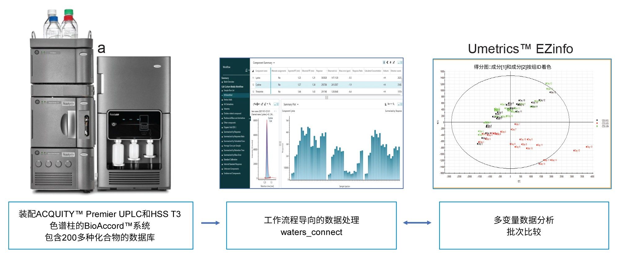 BioAccord系统/waters_connect™细胞培养基分析工作流程示意图