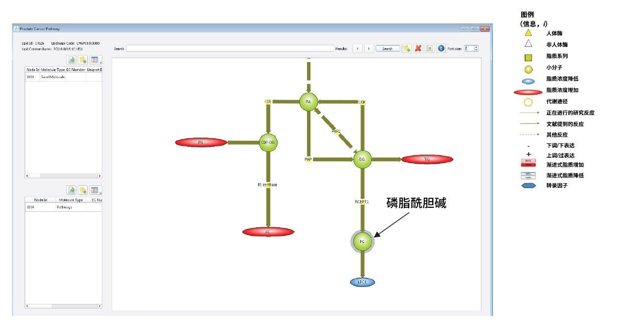 Lipostar的“前列腺癌”疾病图中描述的部分代谢途径