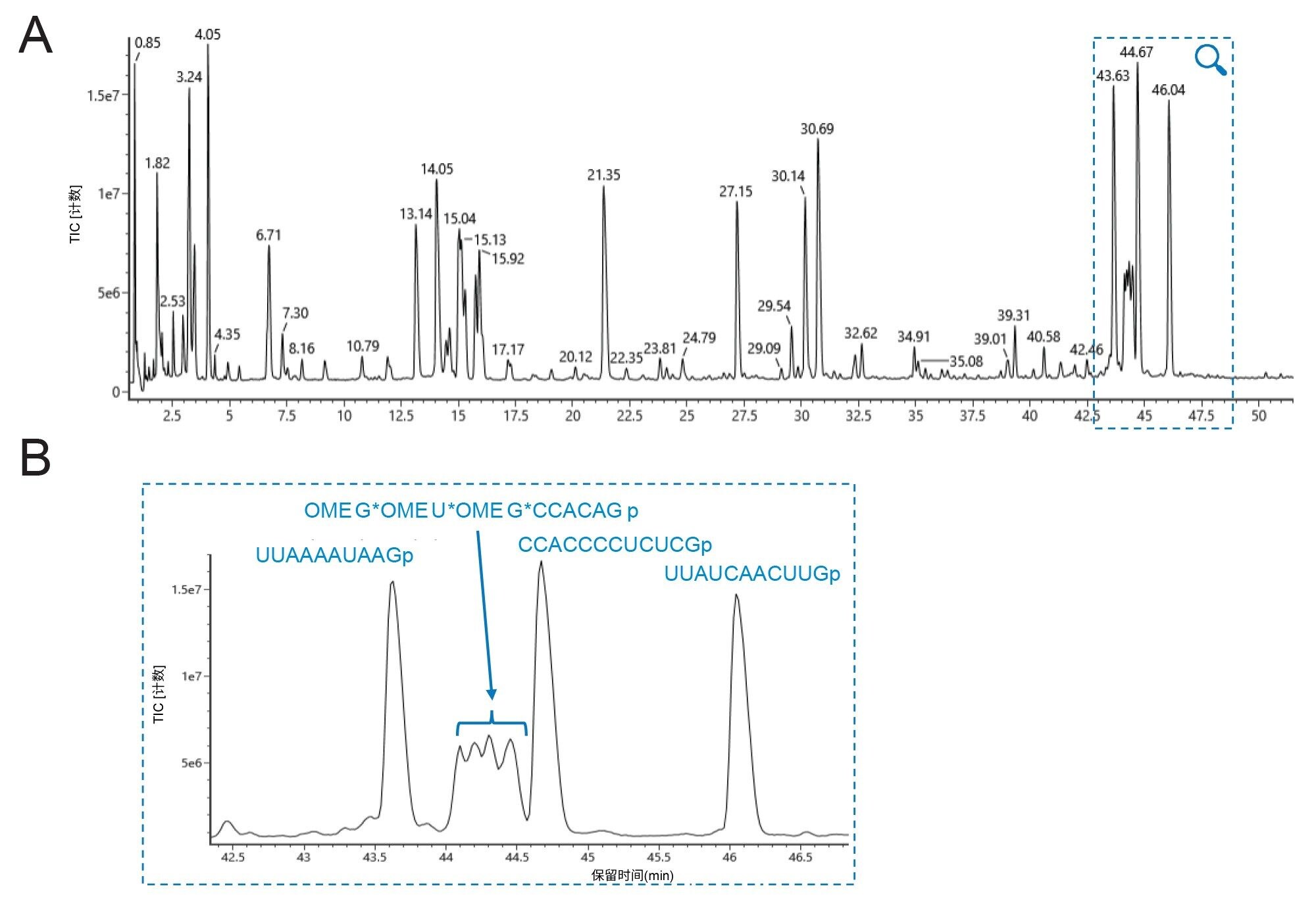 使用ACQUITY Premier BEH C18, 300 Å, 1.7 µm, 2.1 x 100 mm寡核苷酸分析专用柱结合UV和QTof HRMS检测对由核糖核酸酶T1酶解的sgRNA进行IP-RP-LC-MS分析的寡核苷酸映射