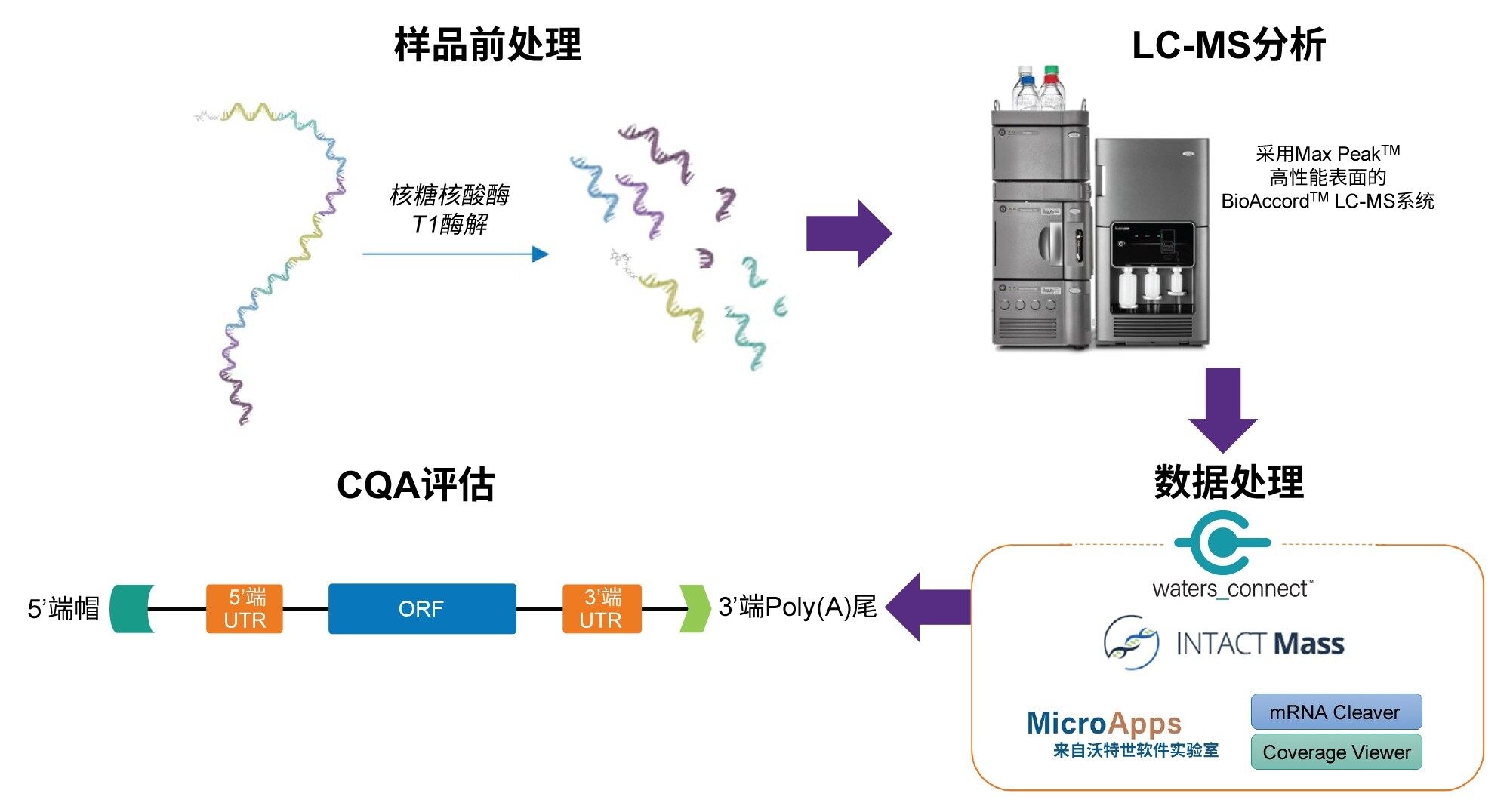 RNA CQA表征工作流程示意图