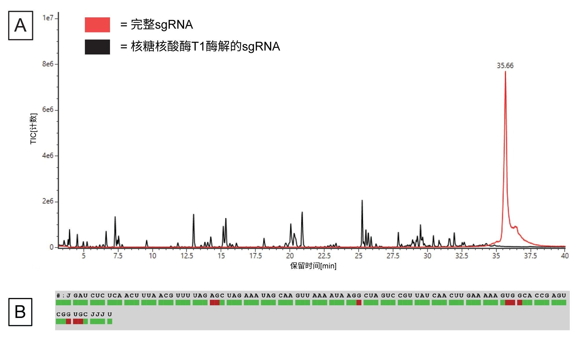 (A)酶解后的sgRNA（黑色迹线）和未酶解的完整sgRNA（红色迹线）的TIC，(B) Coverage Viewer应用程序分析LC-MS数据后得出的序列覆盖率