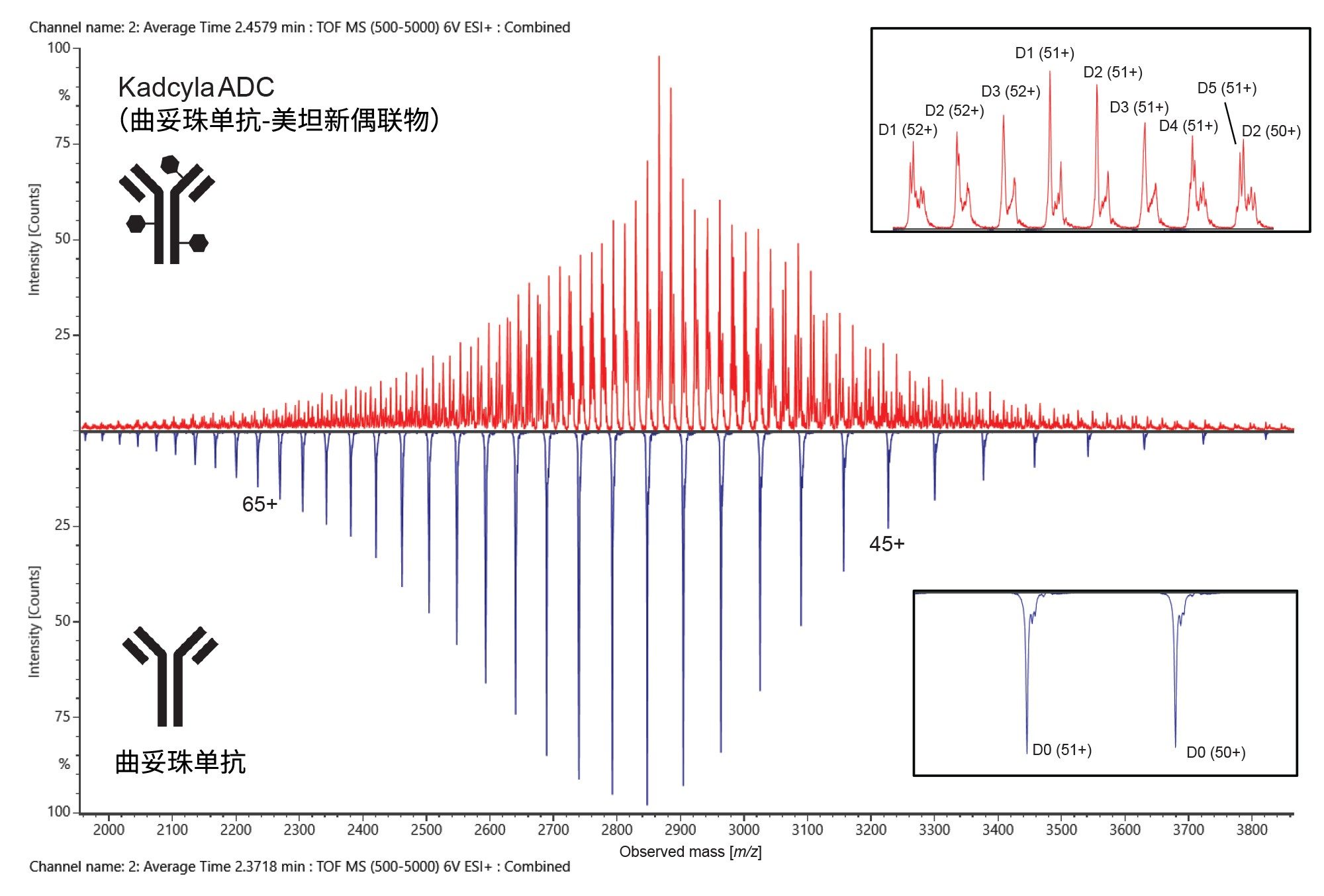 糖基释放后的Kadcyla ADC（红色）和未偶联曲妥珠单抗（蓝色）的组合原始m/z谱图镜像图，各自的右侧插图为部分放大图，以突出显示偶联样品的复杂性