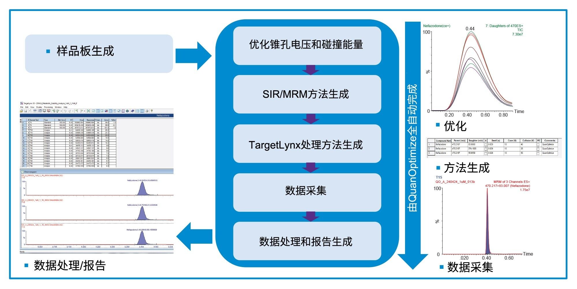 全自动QuanOptimize工作流程